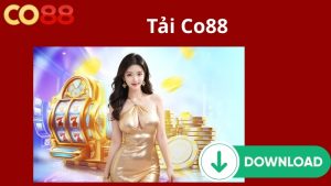 Điều kiện tải Co88 về thiết bị