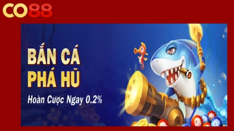 Điều kiện tham gia khuyến mãi hoàn trả Co88