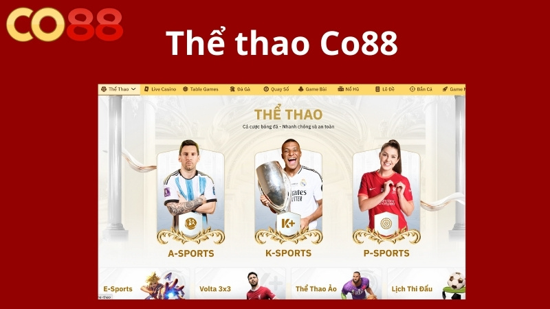 Đôi nét về sảnh cược thể thao Co88