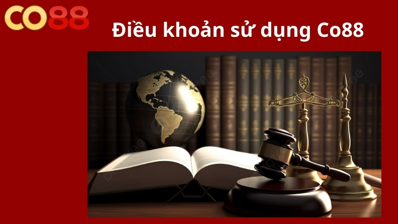 Giới thiệu điều khoản sử dụng Co88