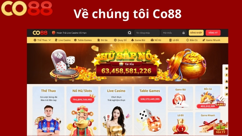 Giới thiệu tổng quan về chúng tôi Co88