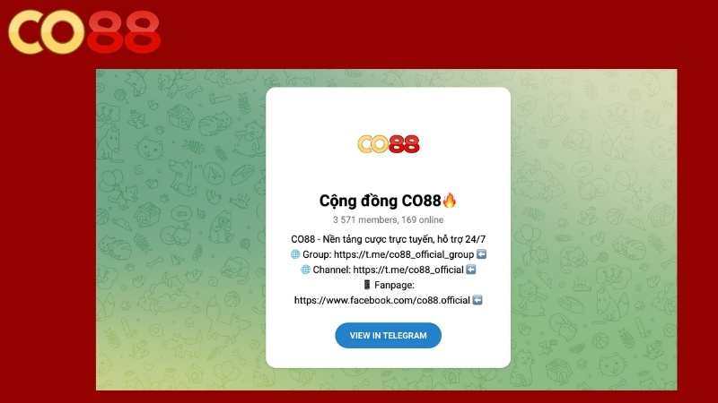 Liên hệ Co88 qua Telegram