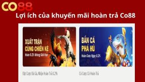 Lợi ích của khuyến mãi hoàn trả co88
