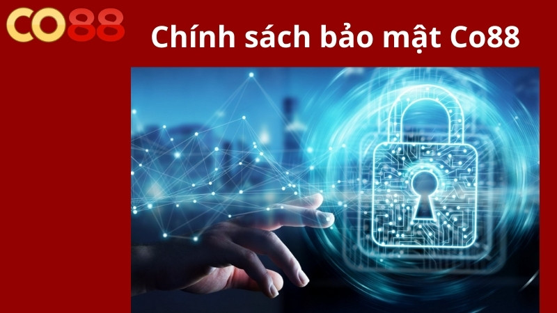 Tầm quan trọng của chính sách bảo mật Co88